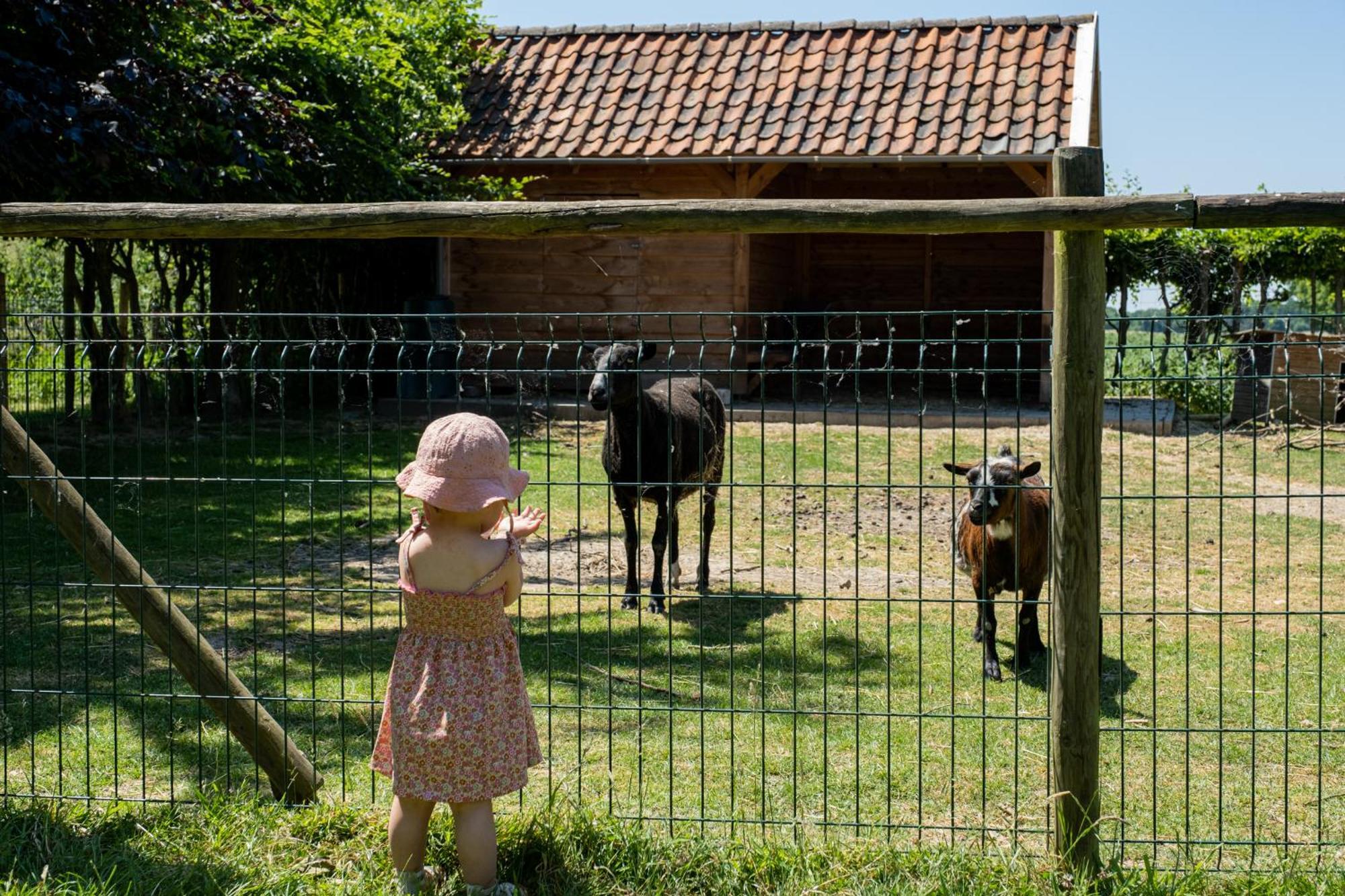 Hoeve De Binnenplaets Schimmert Exterior foto